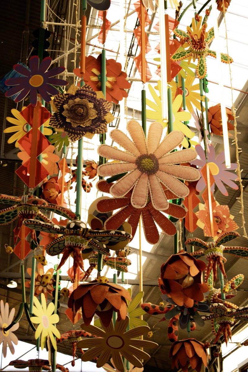 Cape Town Big 6 tweet media