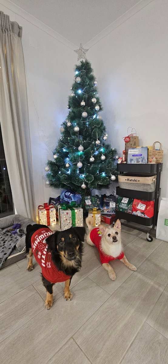 xSeniMJ's tweet image. From my family to yours, a Merry Christmas, may you all have a wonderful day, surrounded by people you love, filled with joy and delicious food! 🎄
Much love to all of you!! ❤️