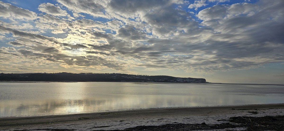 xSeniMJ's tweet image. From my family to yours, a Merry Christmas, may you all have a wonderful day, surrounded by people you love, filled with joy and delicious food! 🎄
Much love to all of you!! ❤️