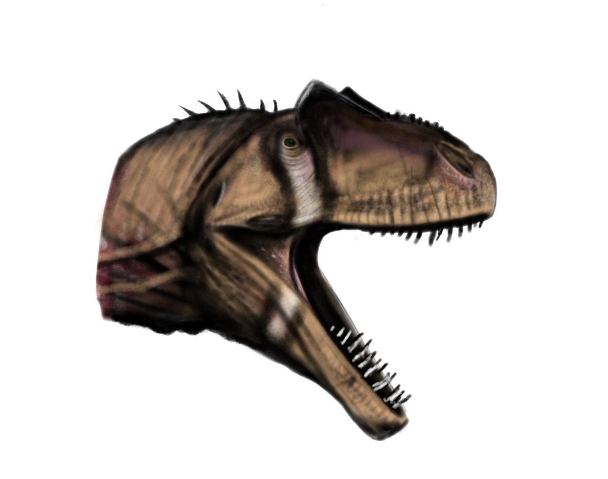 MEGBEN23's tweet photo. Redesign head Allosaurus from Dinosaur Revolution #fanart #paleoart #dinosaurrevolution #allosaurus #dinosaur https://t.co/WZLWjBkAn6