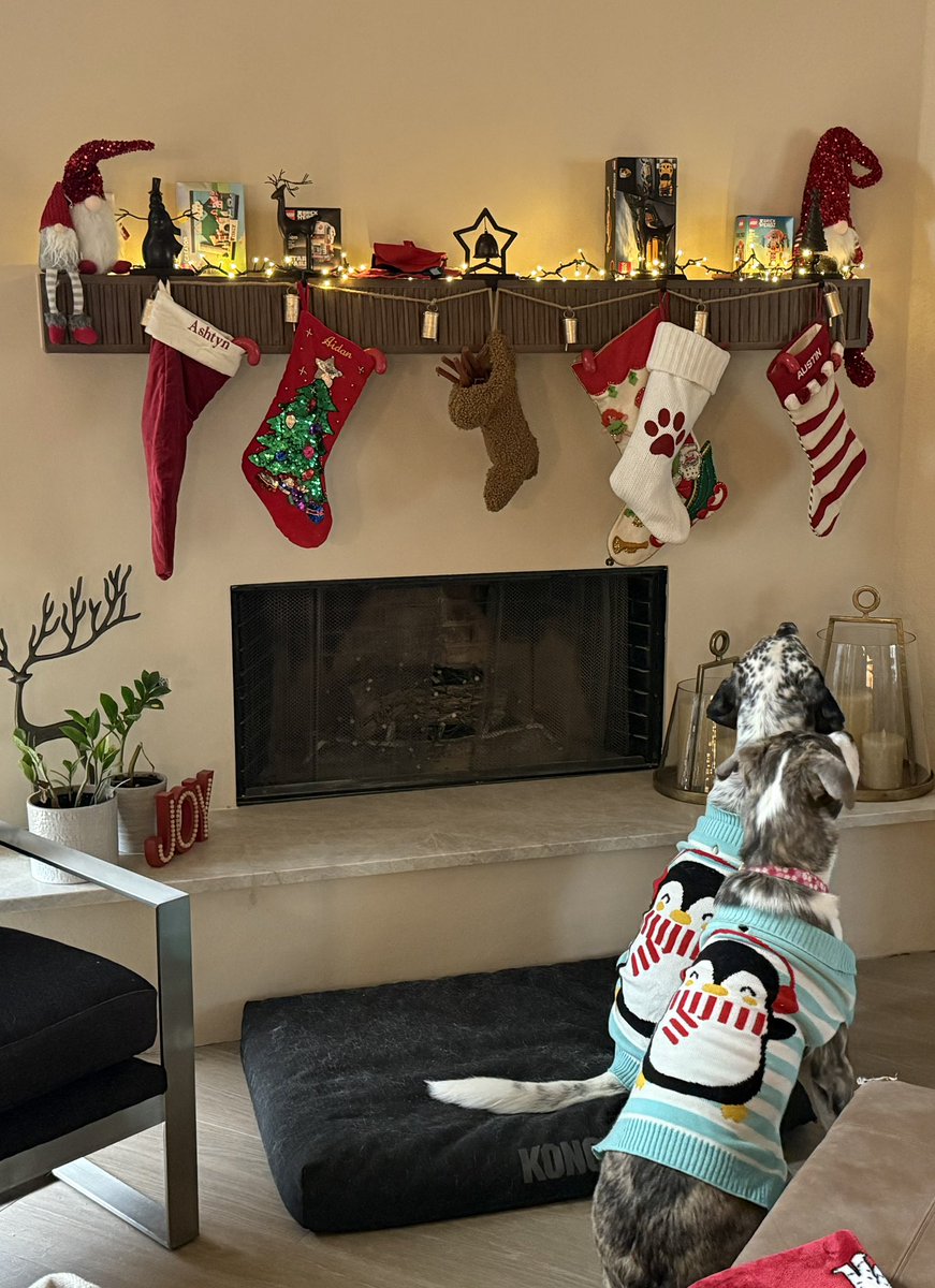 Andrew Hubert tweet media