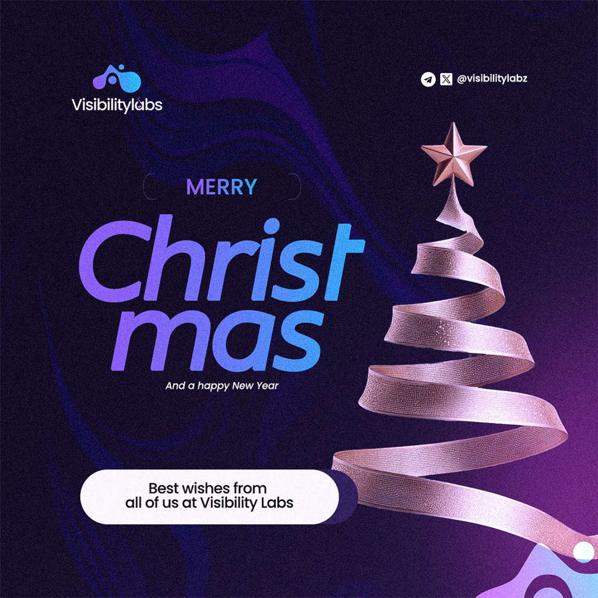 VisibilityLabs tweet media