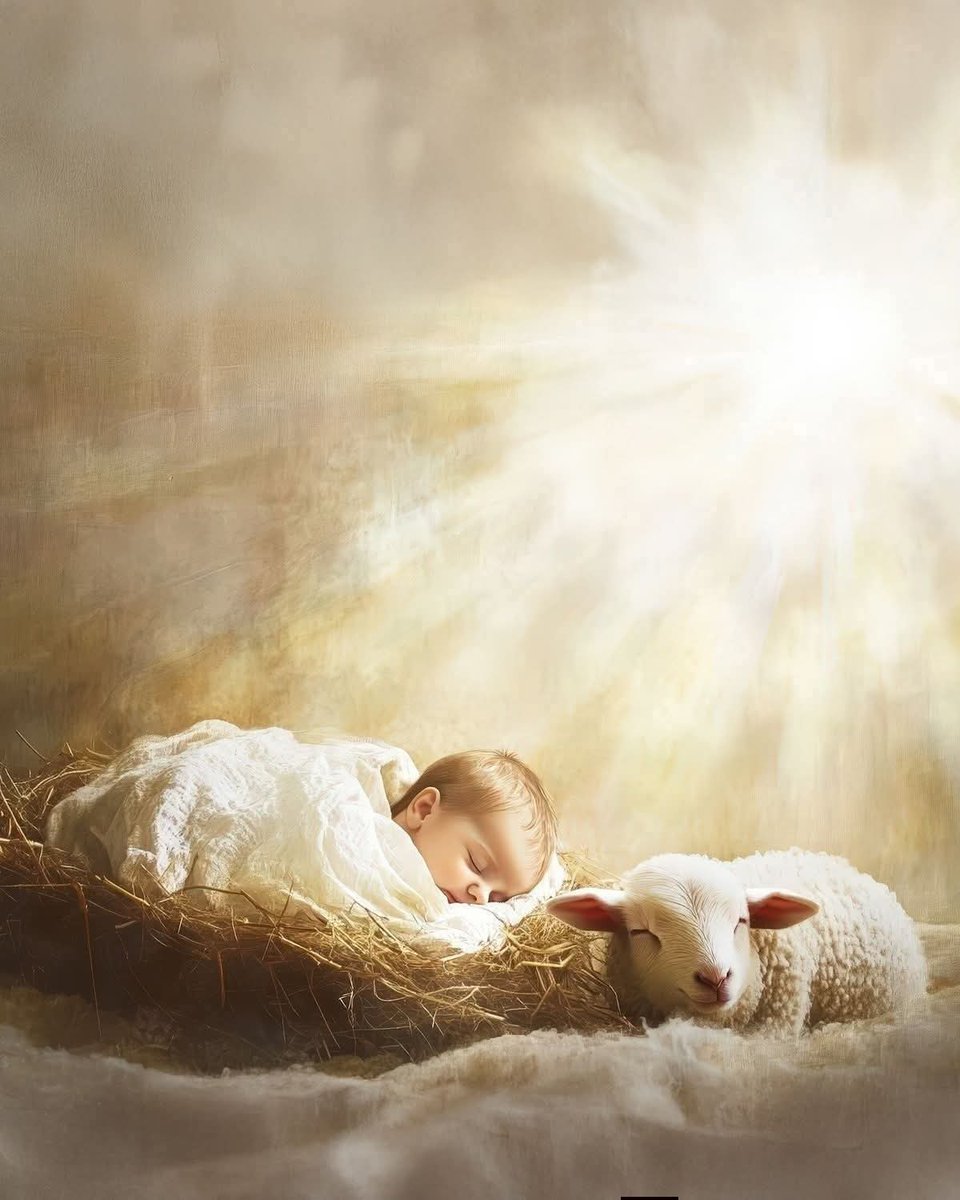 Feliz Natal!
Abençoado dia a todos.
Alegrem-se:
Jesus está entre nós!
______