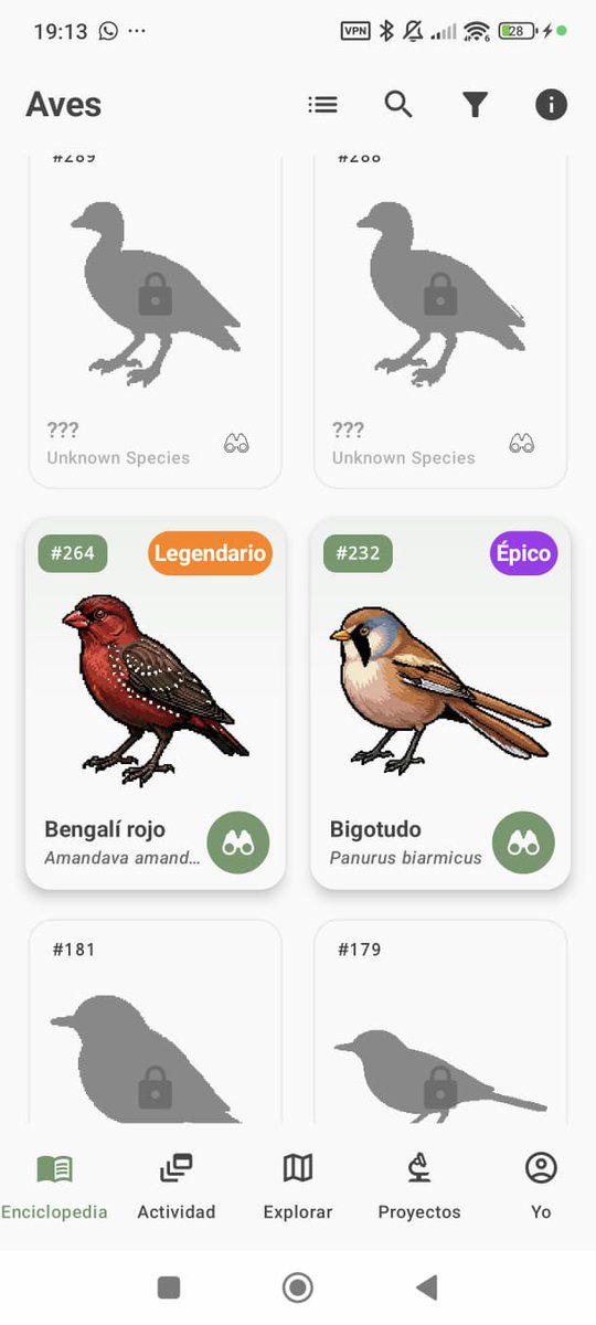 BirdPedy's tweet photo. Vienen nuevas cositas en la próxima actualización... 🌝🌝🌝 https://t.co/FuHjtoJzHL
