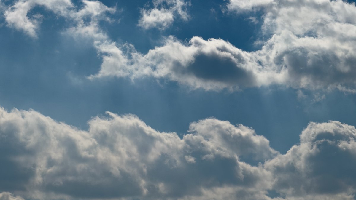 envalid's tweet image. Fluffy