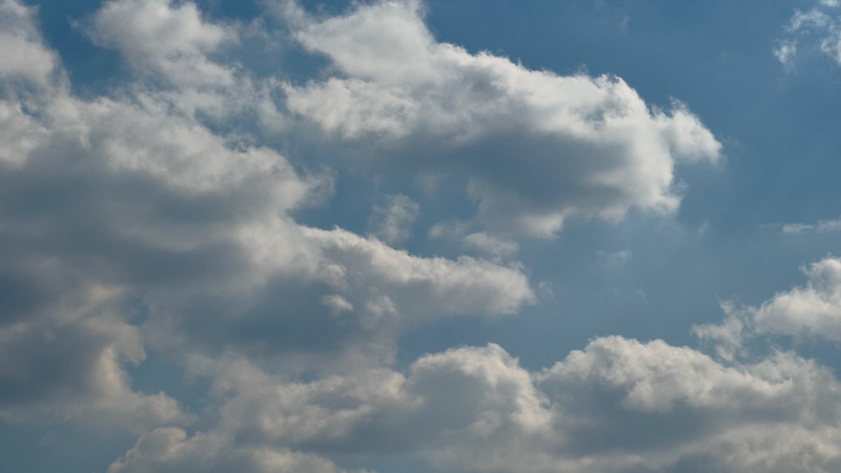 envalid's tweet image. Fluffy