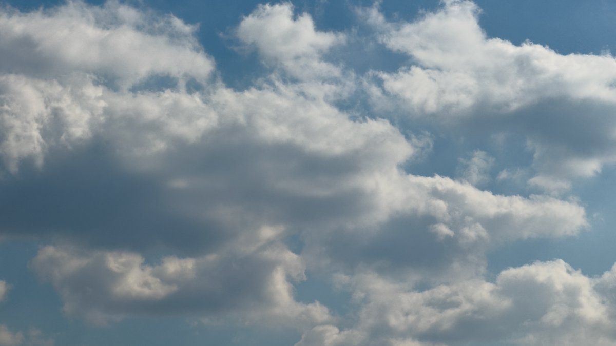 envalid's tweet image. Fluffy