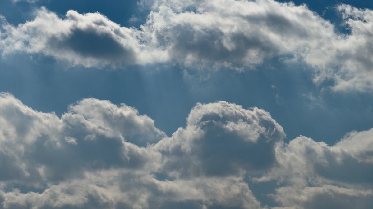 envalid's tweet image. Fluffy