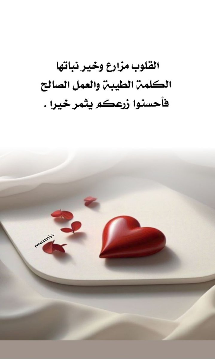 قاسم الصبحي tweet media