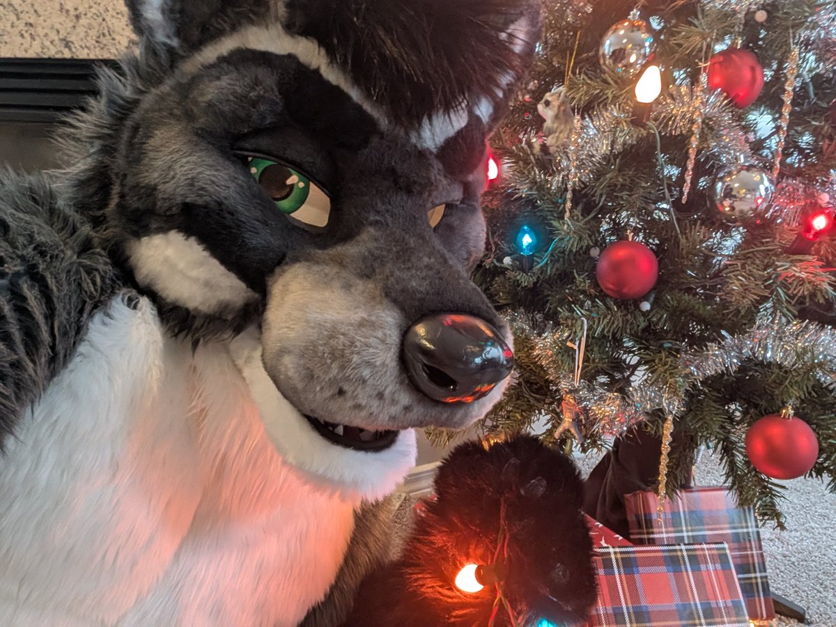 Aero (@AeroRaccoon) / Posts / X