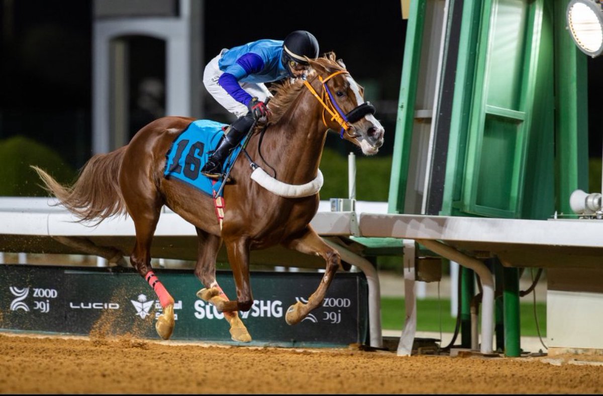 نتقدم بالتهنئة 

للمالك خالد زيد الرويضان

و ابراهيم الدعيجي

وللمدرب علي العميل

وللمدرب سامي الديحاني 

وللخيال معاذ الرقيعي

والخيال محمد الدهام

لفوزهم هذا المساء بميدان الملك عبد العزيز بالرياض 🐎