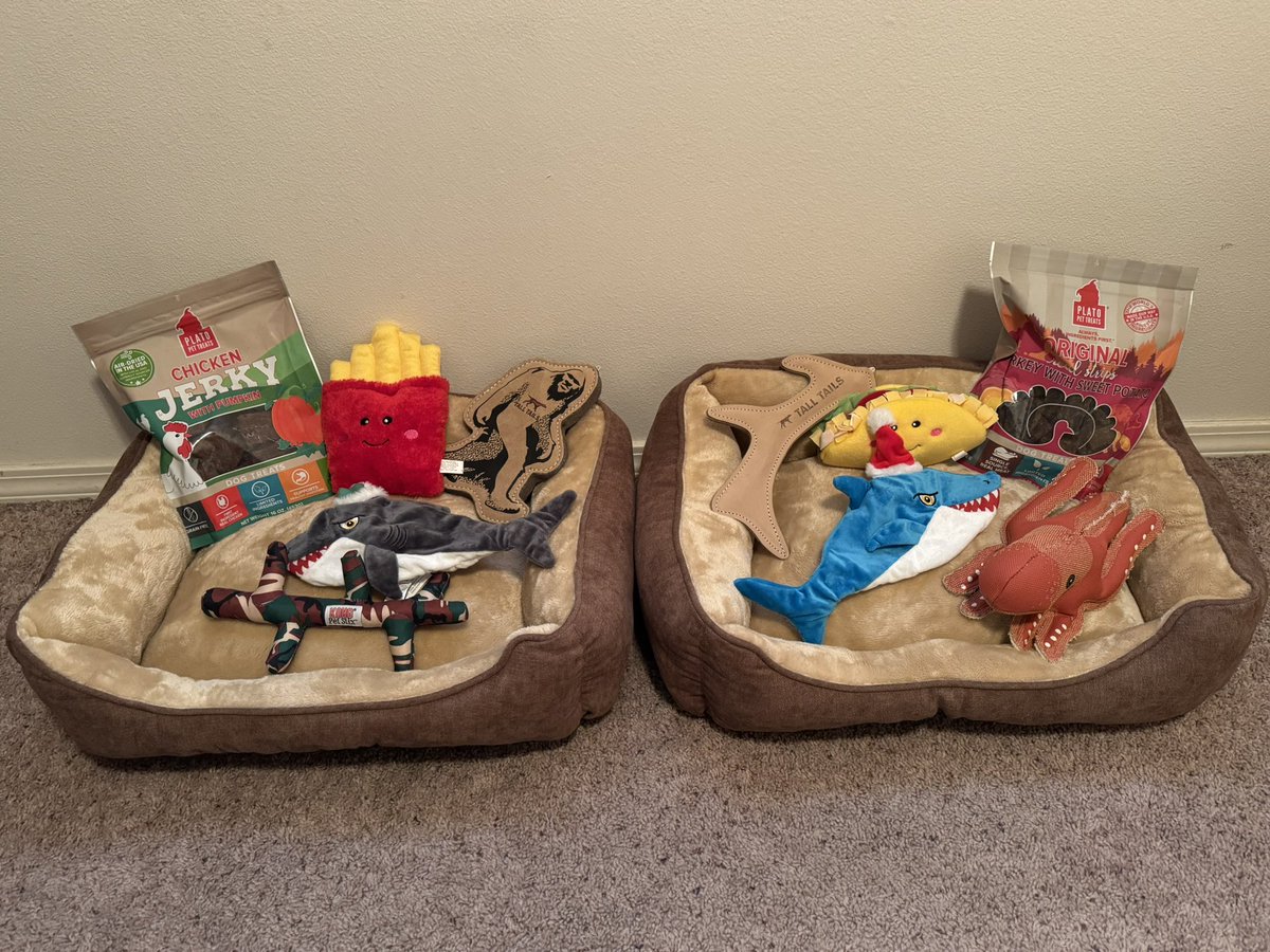 Lookz what Santa Paws brought uz!!❤️😍❤️😍 Tank yuz Santa Paws 🎅🏻