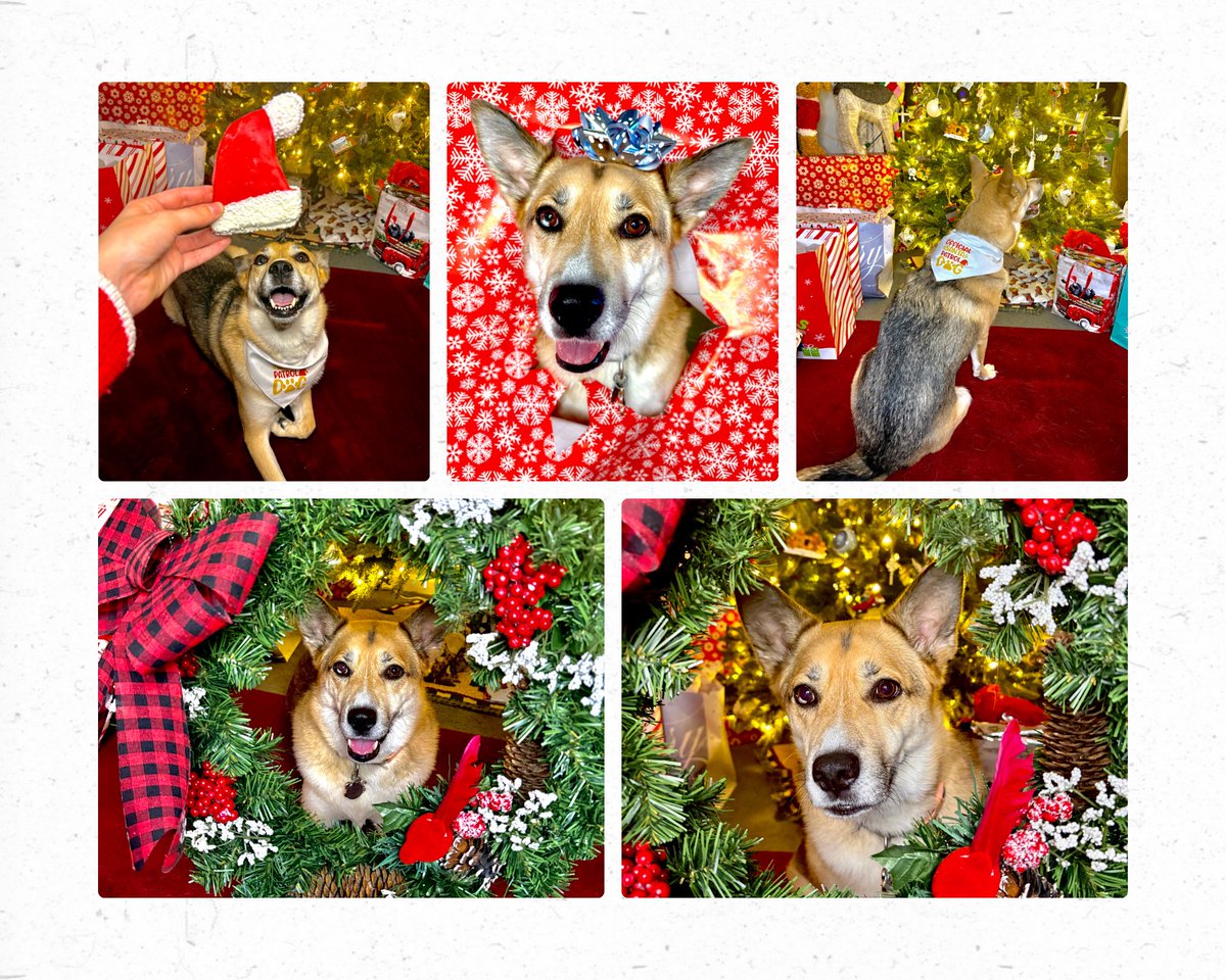 Misty 💙🌻 tweet media