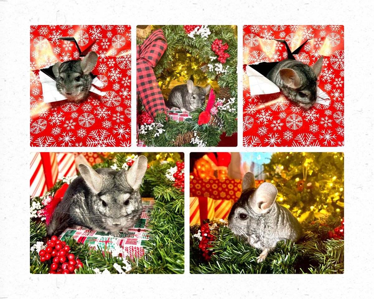 Misty 💙🌻 tweet media