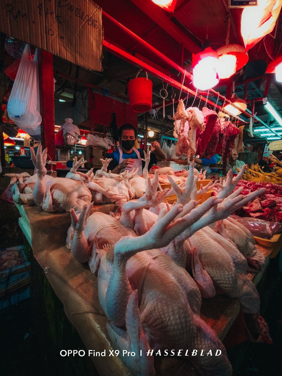 dani photographer tweet media