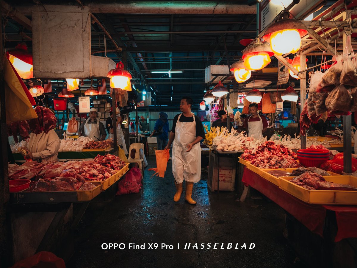 dani photographer tweet media