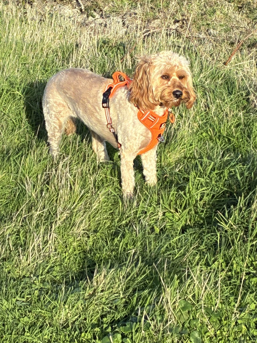 John burton tweet media