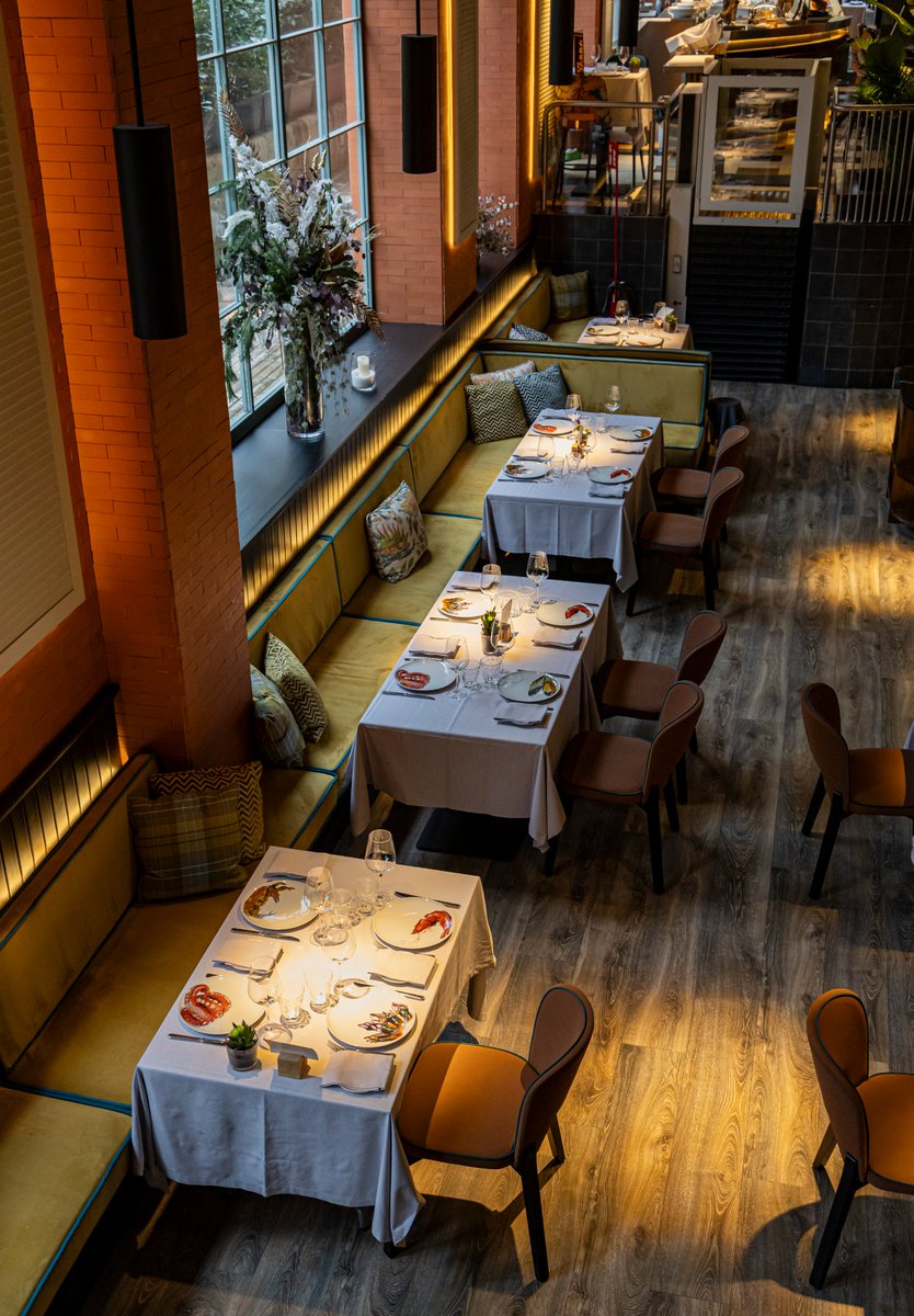 ¿Aún no tienes plan para fin de año? Haz ya tu reserva para la cena del 31 en nuestros restaurantes. Quedan muy pocos huecos.  🍽️🍷

#grupooter #findeaño2025 #restaurantesmadrid #madrid