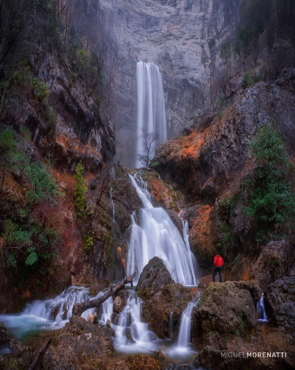 Miguel Morenatti tweet media