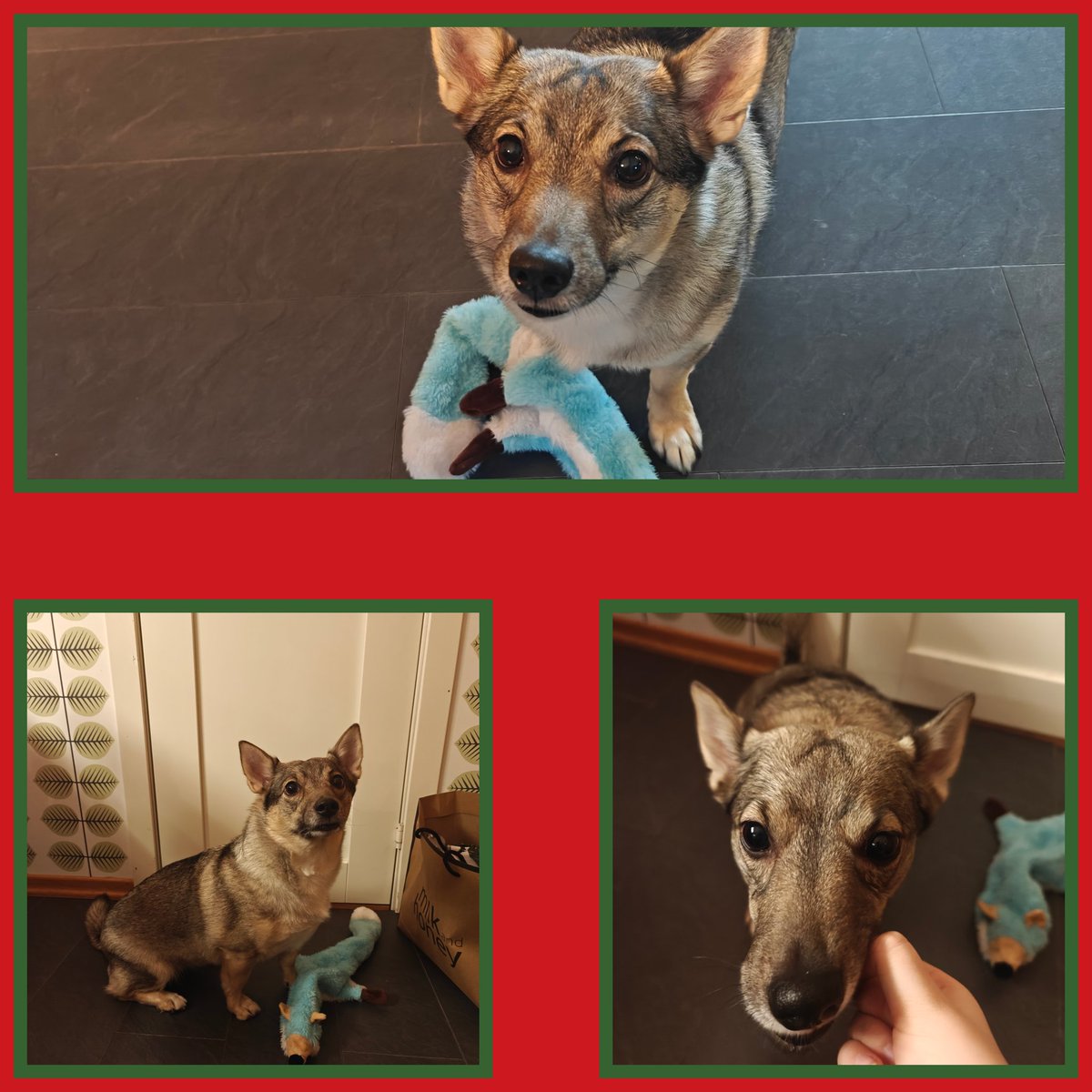 Ninalyset tweet media