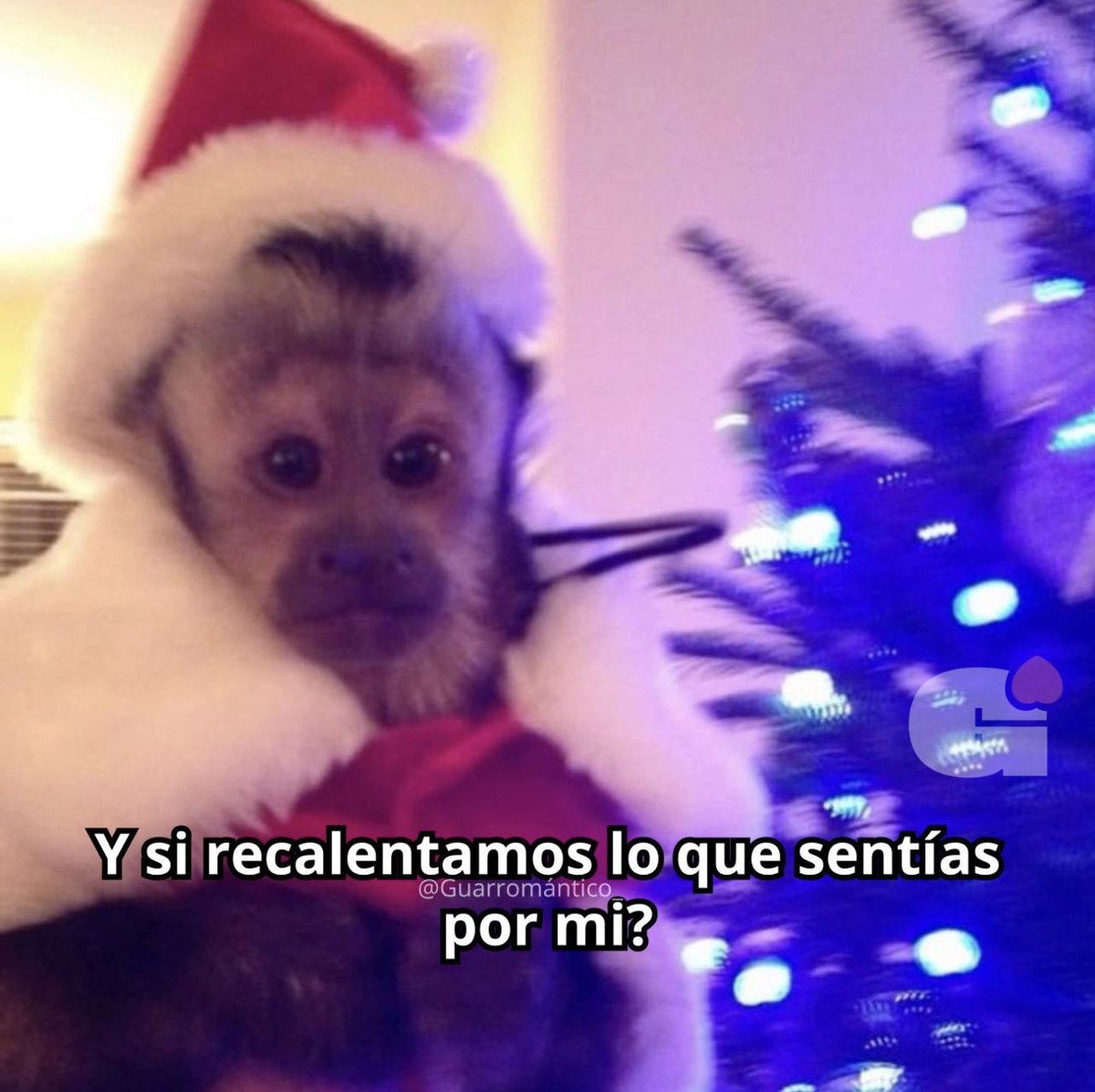 Guarromantico_'s tweet photo. *Enviar* https://t.co/1oXD5iysbu