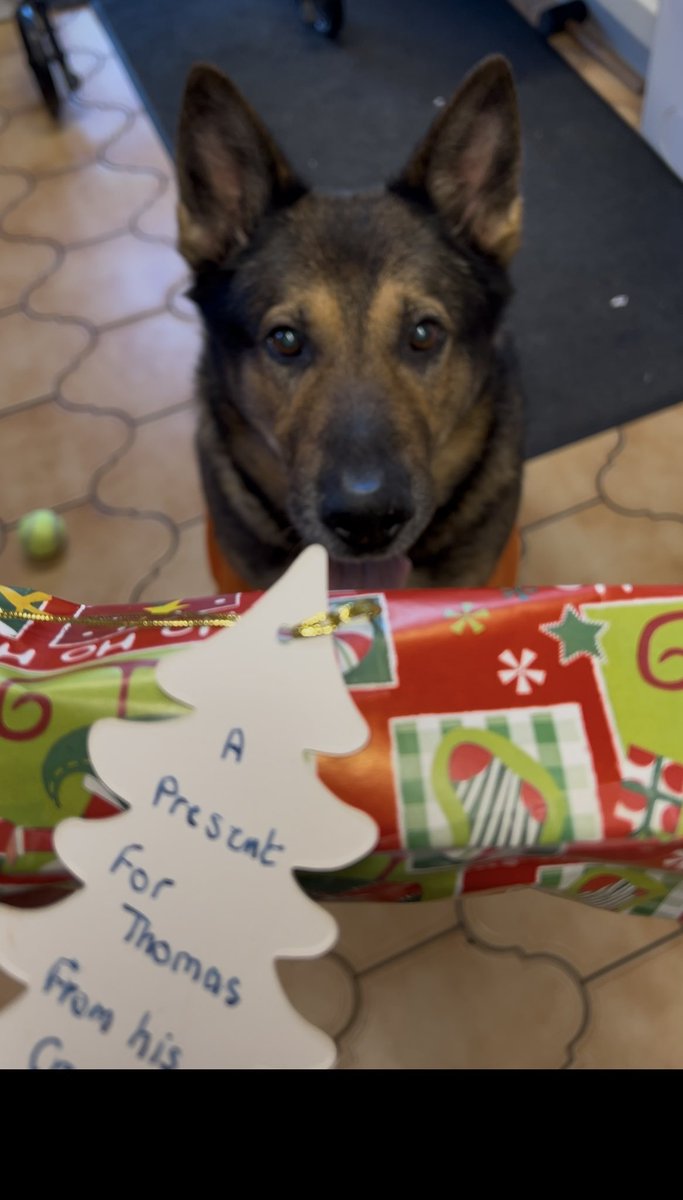 Retired PD Tomo tweet media