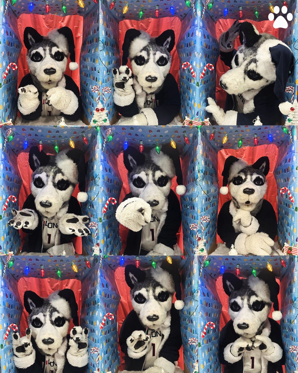 Jonathan the Husky tweet media