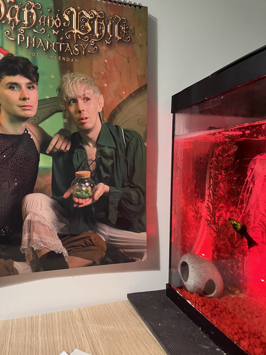 Herbert the fish loves the Phalendar btw <a href="/danielhowell/">Daniel Howell</a> <a href="/AmazingPhil/">Phil Lester</a>
