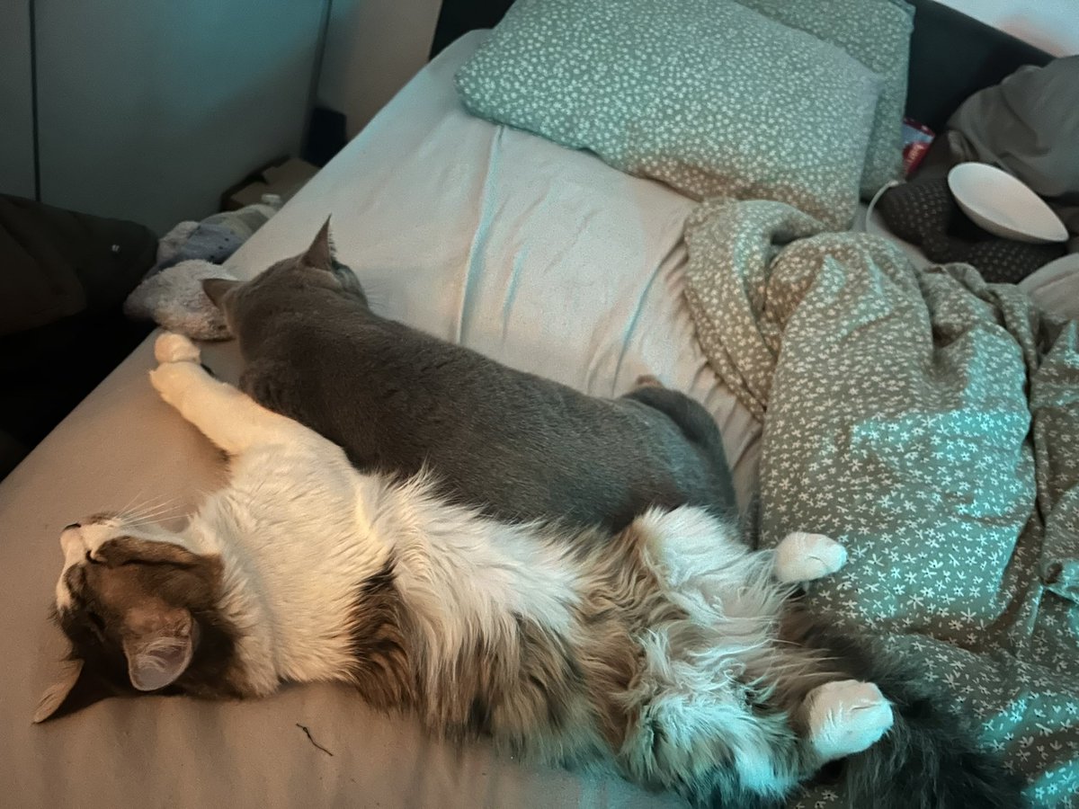 andrejae's tweet image. Naporni prazniki🤭😍