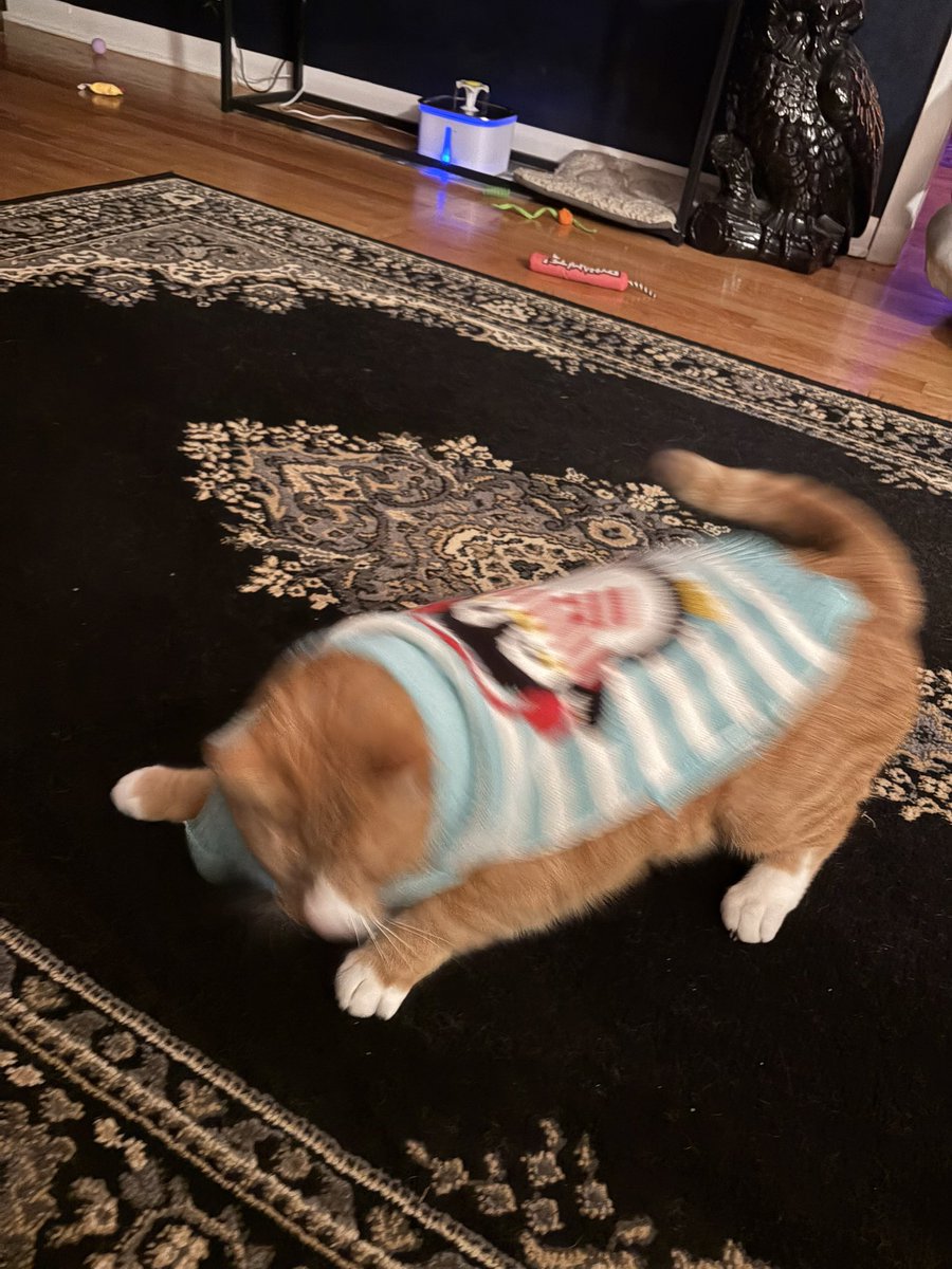 cubedacat's tweet photo. mery crimsmas https://t.co/tWJsGSD3EA