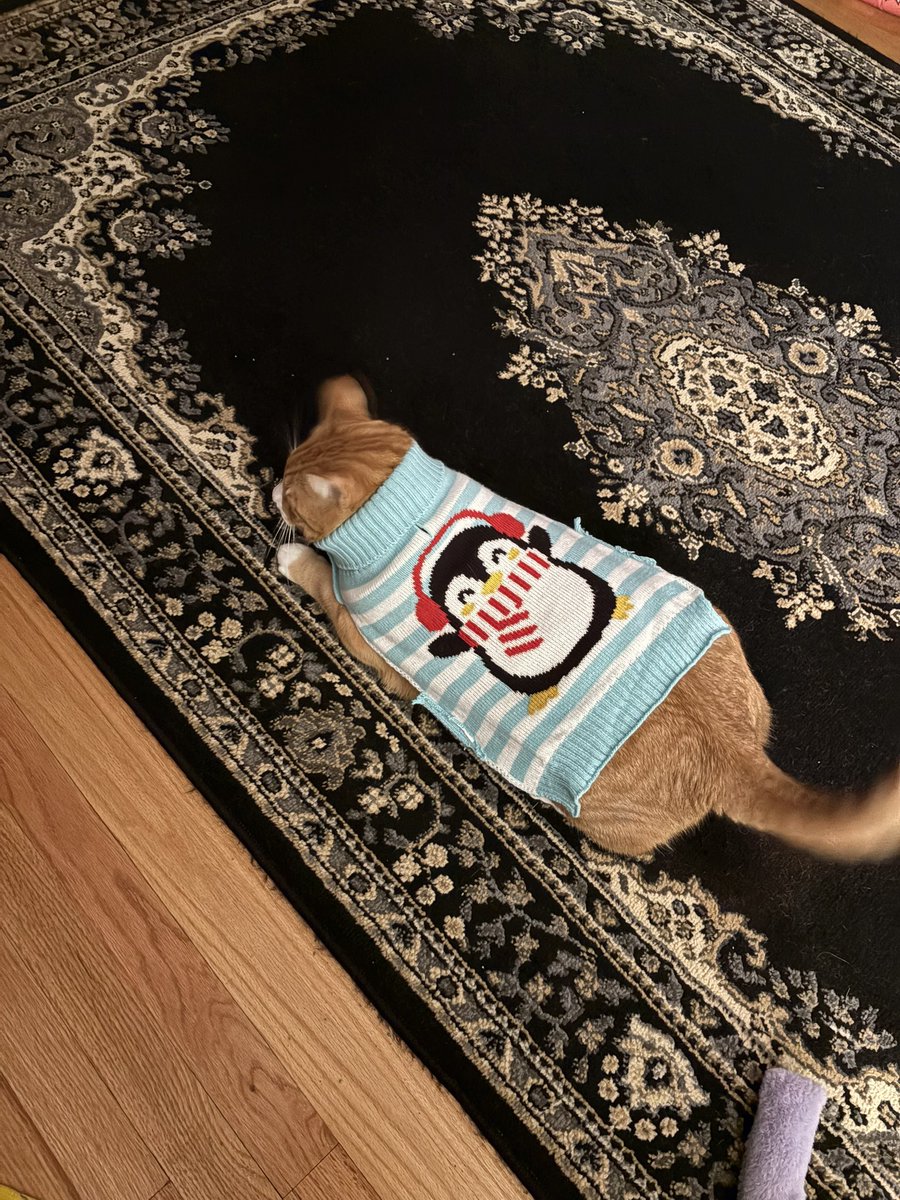 cubedacat's tweet photo. mery crimsmas https://t.co/tWJsGSD3EA