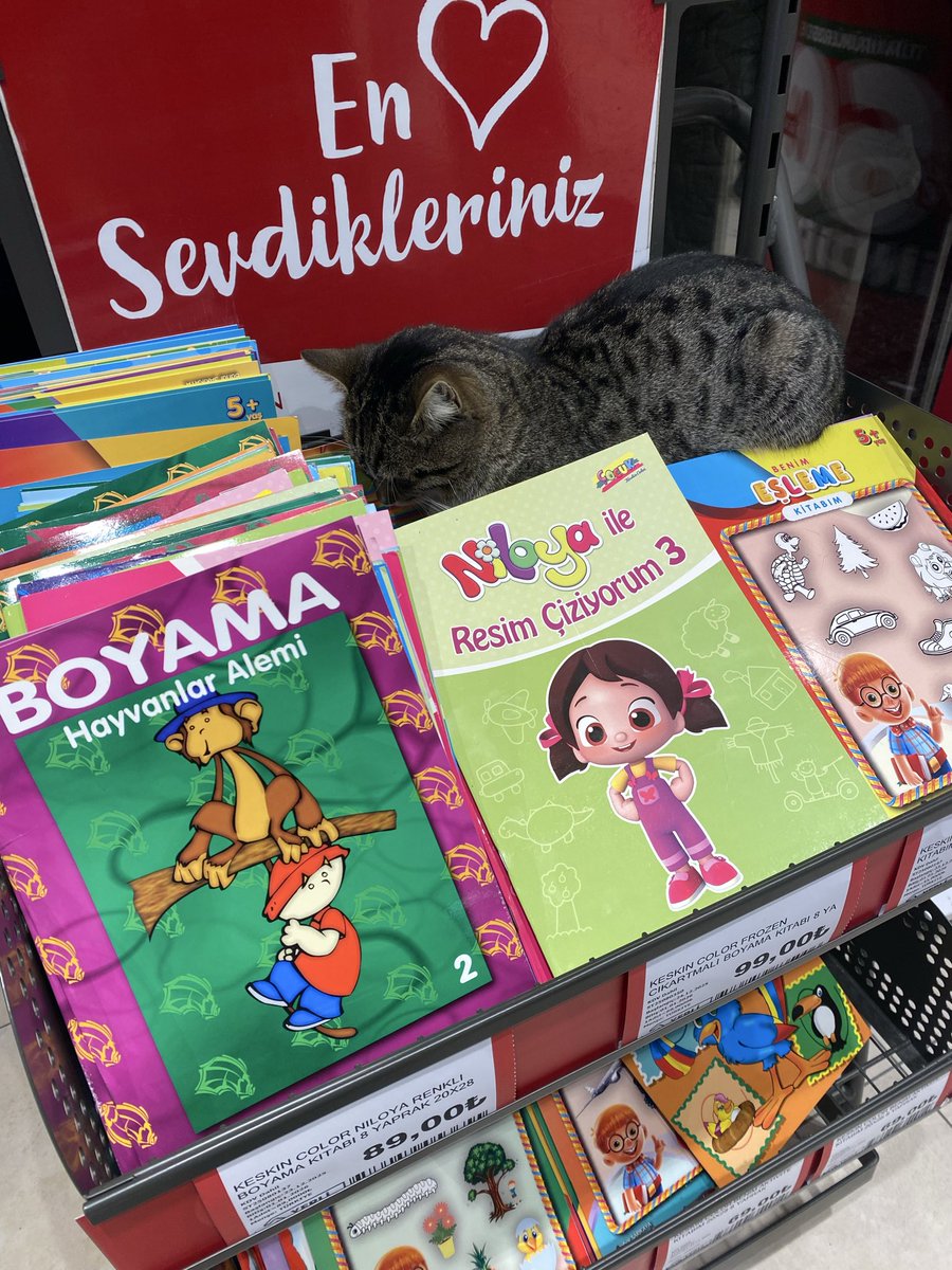 Kitap uyku getiriyo gerçekten