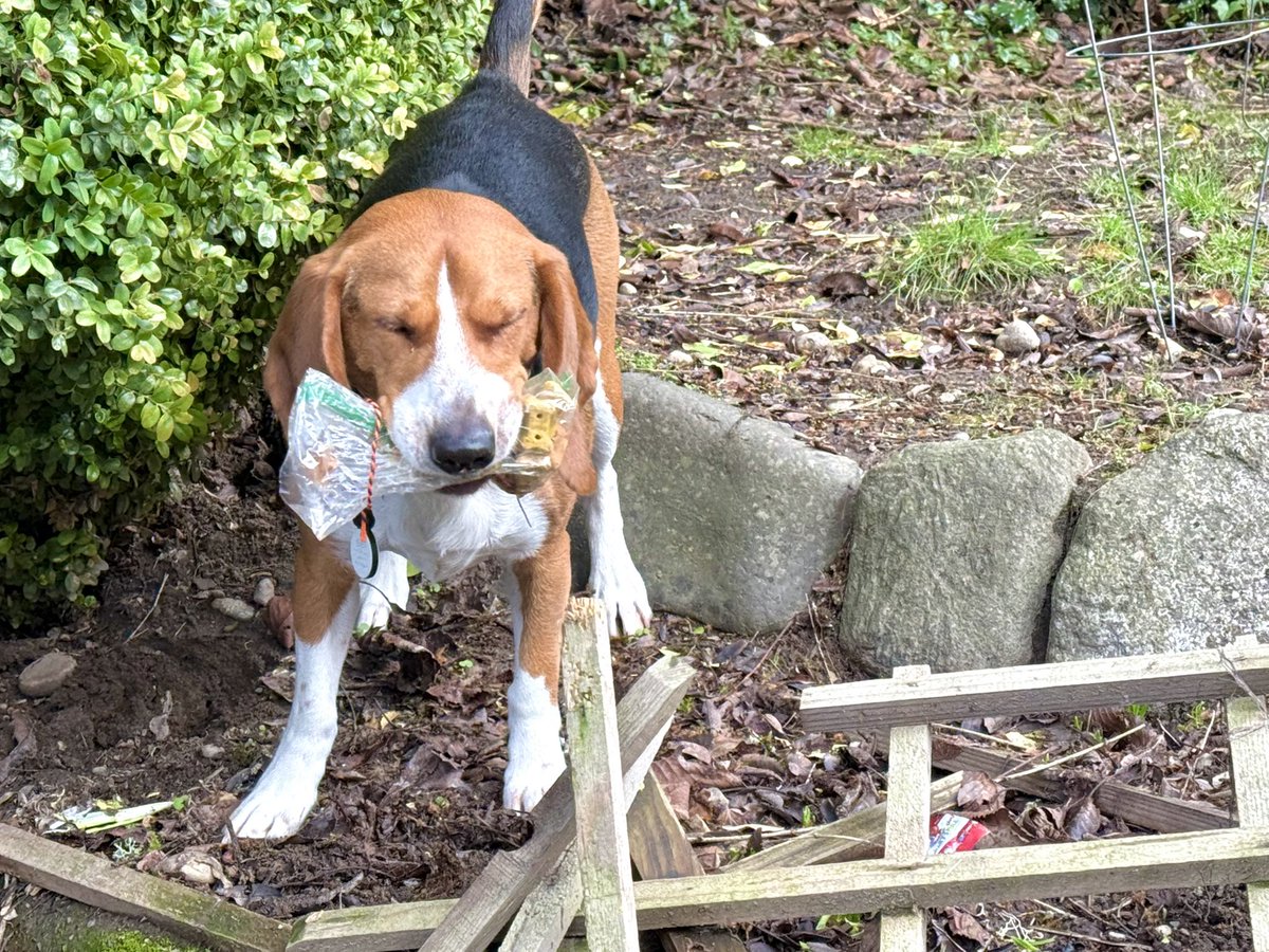 CPL Bixby, ZSHQ 🛵 tweet media