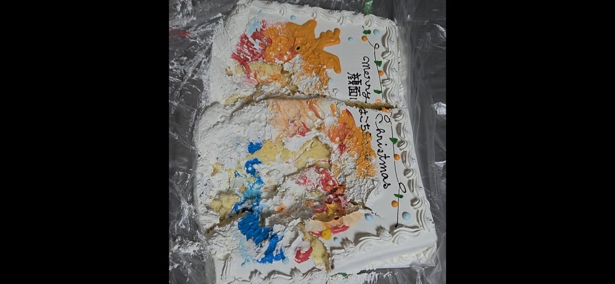今年のクリスマスは、ビッグなコストコのケーキに顔面ダイブして豪快に頂きました(笑)
毎回感じるのは、顔面するならやはりコストコケーキ最高(^ー^)