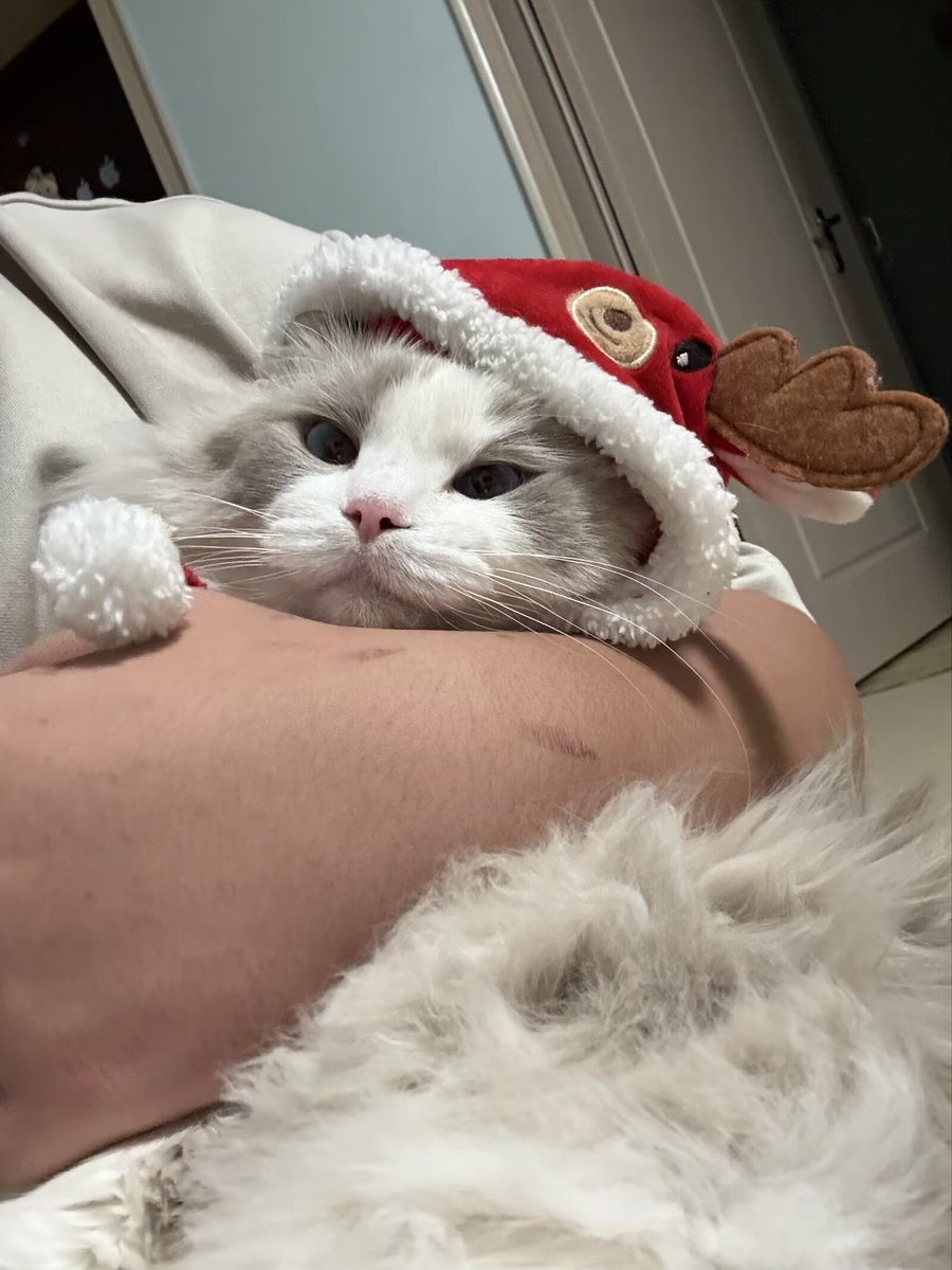 lzsbhehe's tweet photo. 圣诞老咪 https://t.co/4OoWTcVVRe
