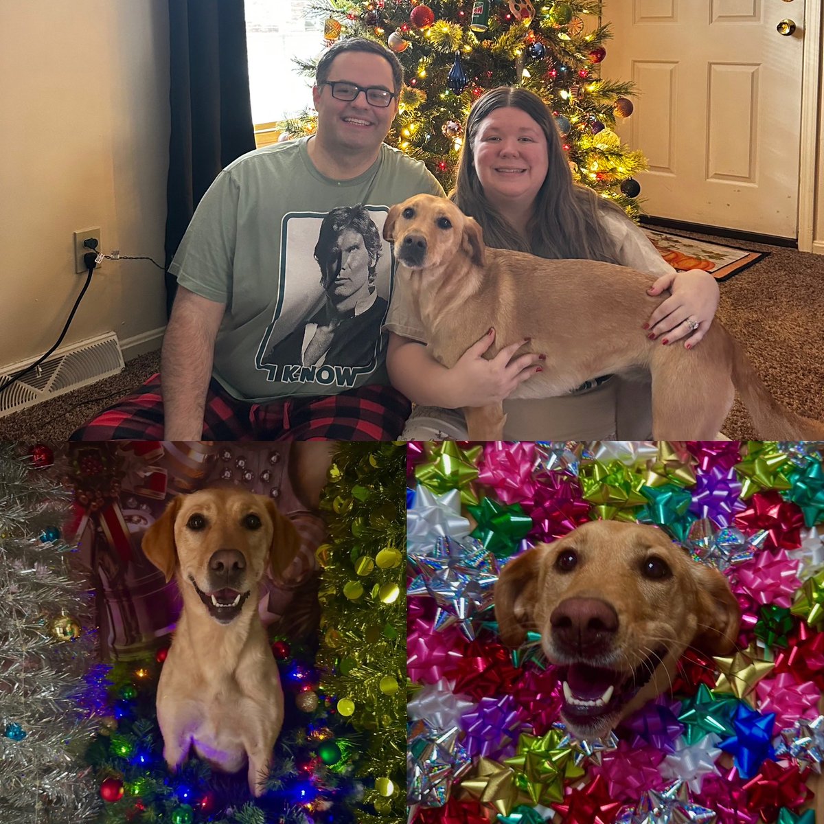 RedHood_Wannabe's tweet photo. Merry Christmas from the winners, oops I mean Davis’s!
Thought out the years! 🎄🎅
#MerryChristmas #wewin https://t.co/C0yaCTtPEk