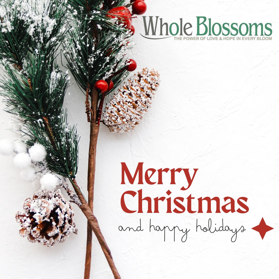 🎄✨ Merry Christmas from Whole Blossom Floral 🌸
Wishing you love, joy, and beautiful blooms this season 💐