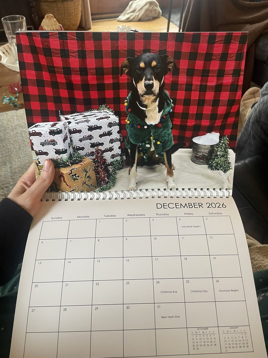 dad made a custom calendar with pictures of my dog… genius levels of gift giving happening here