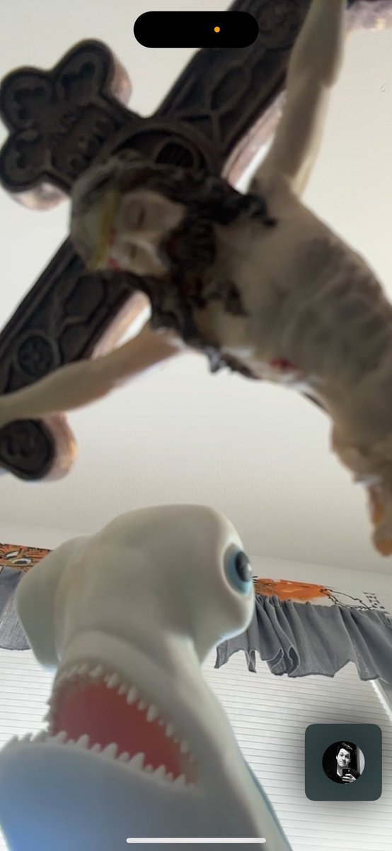 NotableHowler's tweet image. My Christmas FaceTime btw