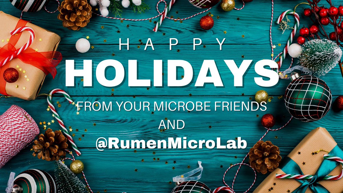 Rumen Phil tweet media