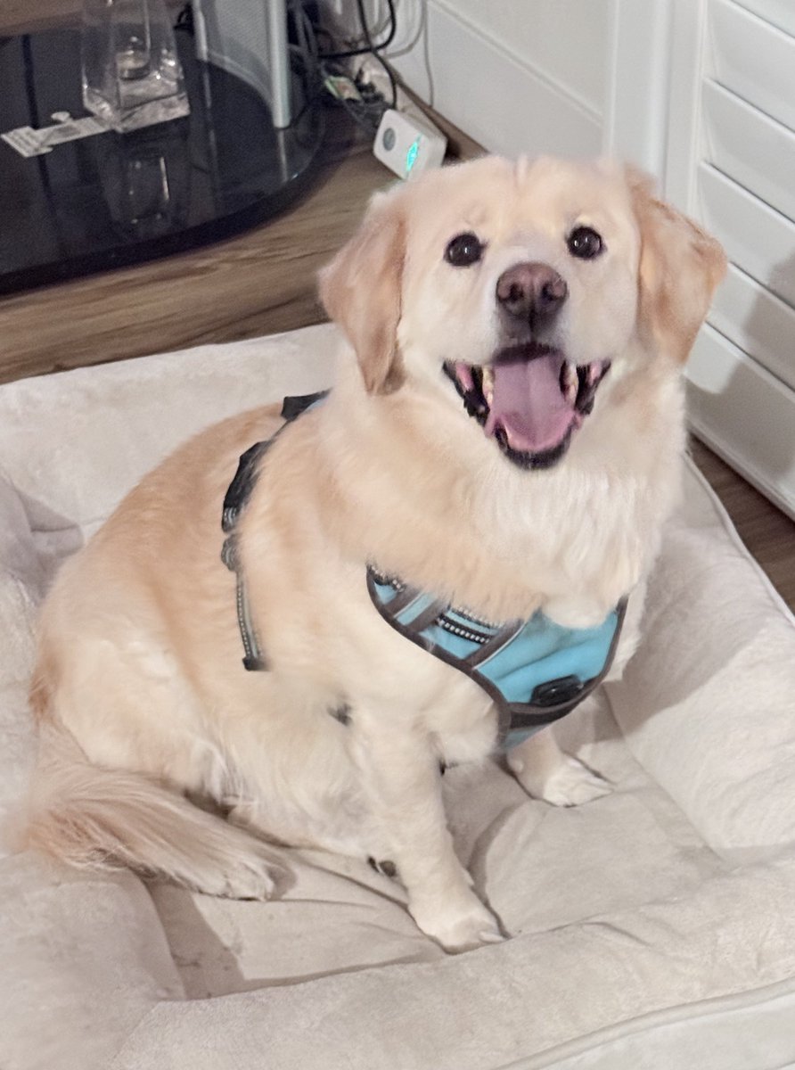 Jen 🍋 LemonKiwi tweet media