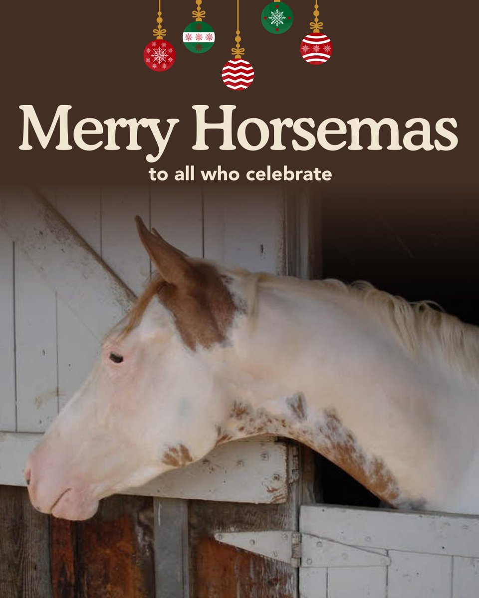 JJ the Santa Barbarian #SlavaUkraini 🥑🥥 tweet media