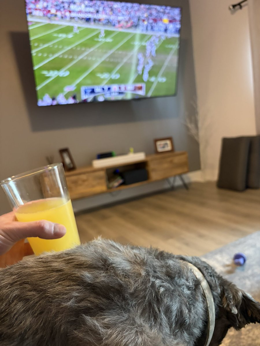 Jakbcastin tweet media