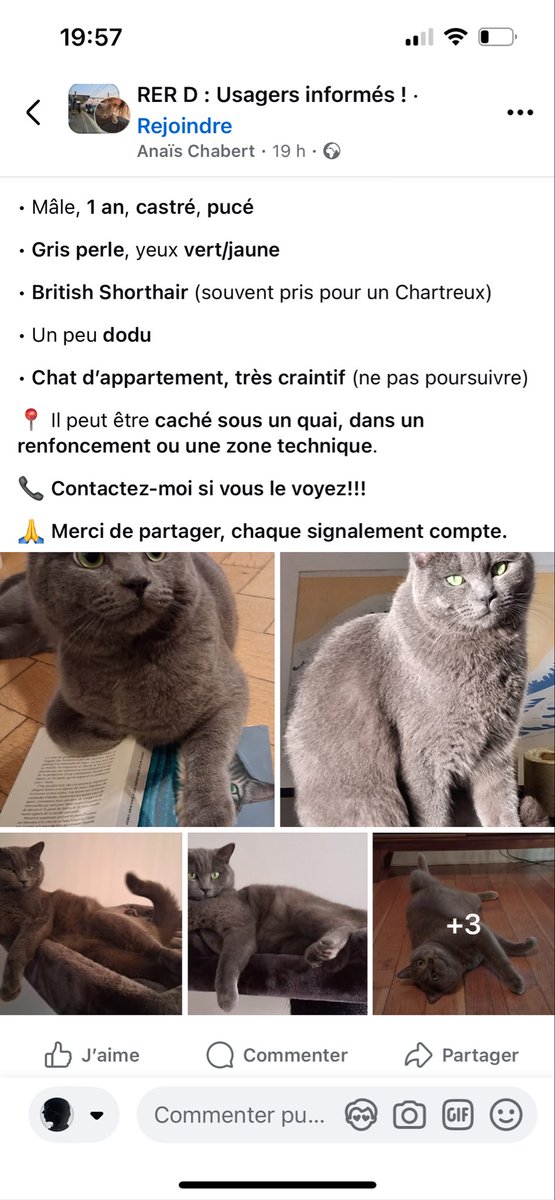 <a href="/LIGNER_SNCF/">Ligne R</a> <a href="/TeamLigneR/">TeamLigneR</a> <a href="/RERD_SNCF/">RER D</a> un petit miracle de Noël ? <a href="/usagersligneR/">Collectif des Usagers Ligne R</a>