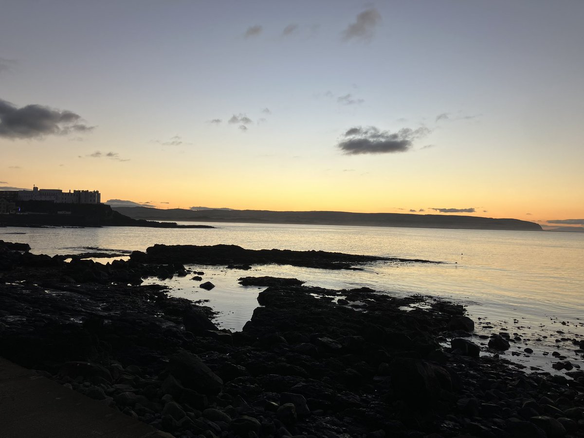 Robert Wilson tweet media