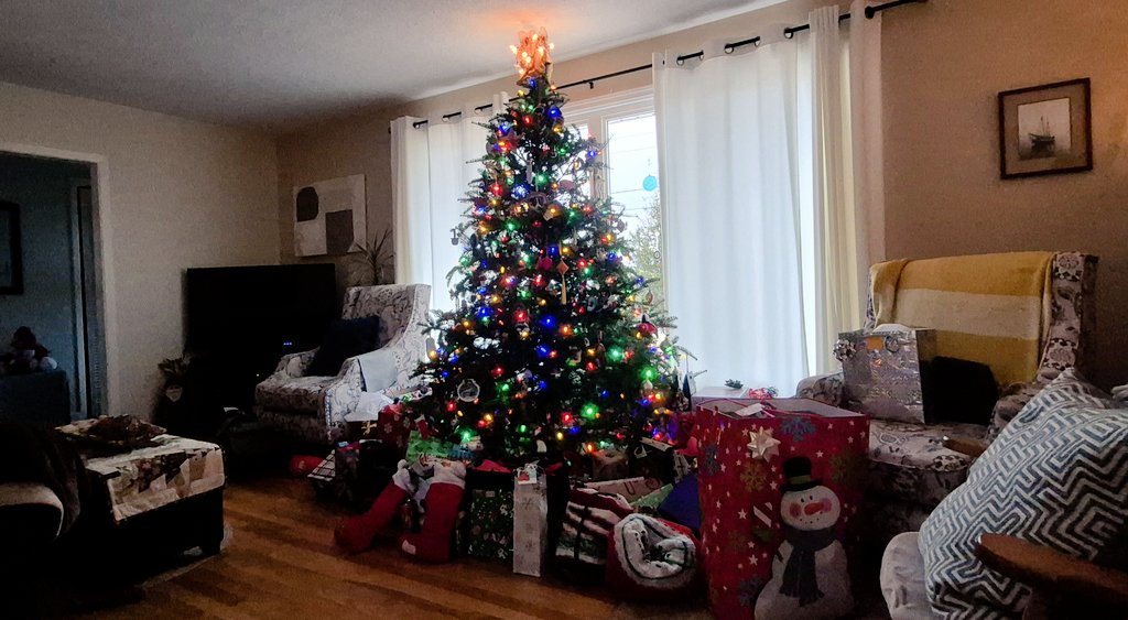 Merry Christmas and Happy Holidays from your favourite Canadian Cyberpunk! 🎄⚡

It's been a weird, challenging year, filled with ups and downs, but I am so grateful - all the support I've received despite my prolonged absences truly means to the world to me. Thank you, Bolts. 💙