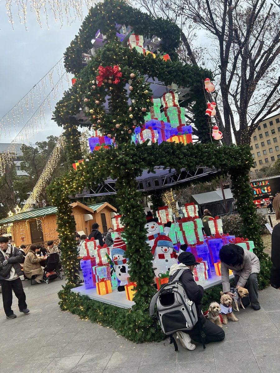 abc0412723's tweet photo. メリークリスマス🎄 https://t.co/42I3SqX9lK