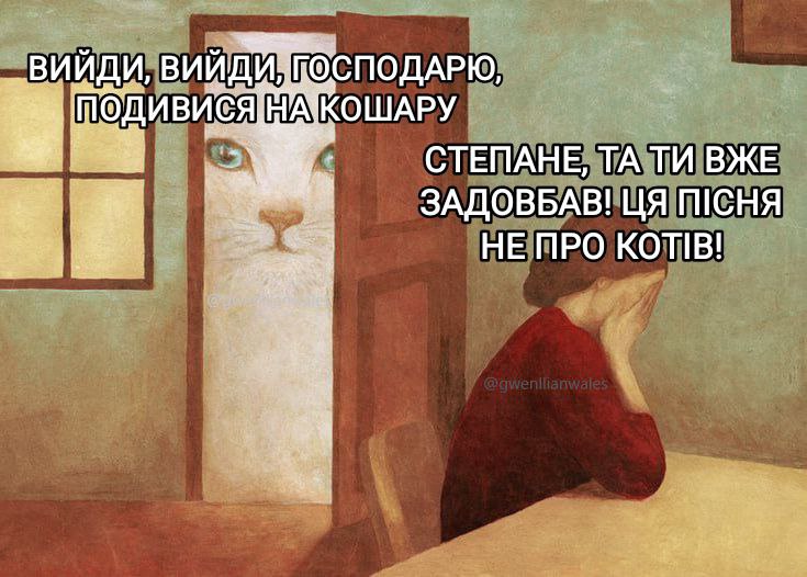 Коти сьогодні теж колядують