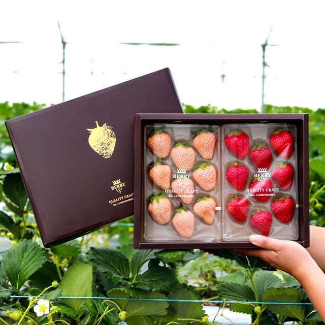 AfternoonTea_LT's tweet photo. 🍓抽選で20名様にプレゼントが当たる🍓
12/26～3/4の期間中、ティールームで展開する対象メニューの写真を撮ってInstagramまたはXに投稿すると、完熟クラフト苺「BERRY」の紅白苺ギフトやAfternoon Tea TEAROOM e Giftが、抽選で20名様に当たる「#アフタヌーンティーでいちご2026」SNS投稿キャンペーンを実施します。