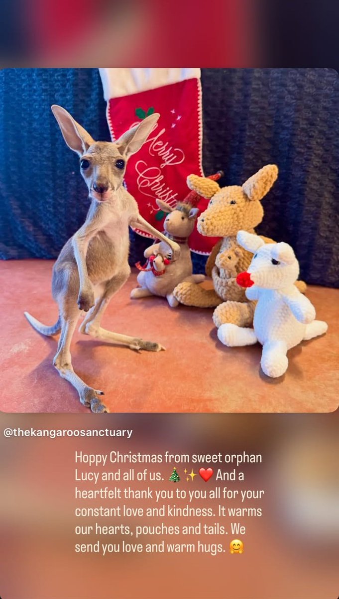 #merrychristmas